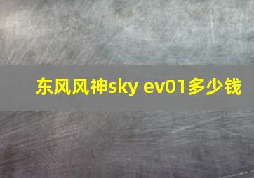 东风风神sky ev01多少钱